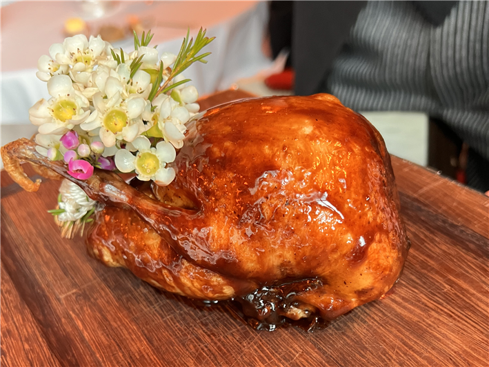 Anjou pigeon presented